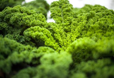 Kendi bahçesinde bile açılı organik salata