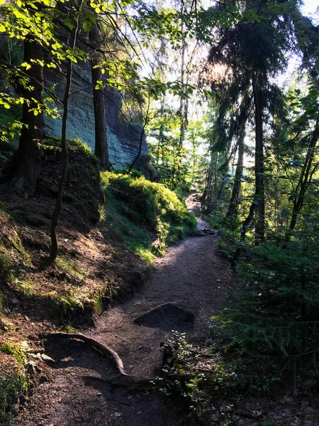 hiking, yürüyüş, tırmanma elbsandsteingebirge güzel manzaralar