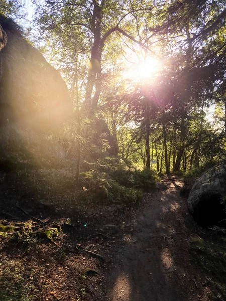 Caminhadas Caminhadas Escalada Belas Paisagens Elbsandsteingebirge — Fotografia de Stock