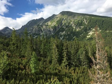 Tatra Milli Parkı Slovakya, Polonya'da yürüyüş. Landscpes ve dağ ile panorama.