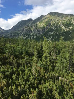 Tatra Milli Parkı Slovakya, Polonya'da yürüyüş. Landscpes ve dağ ile panorama.