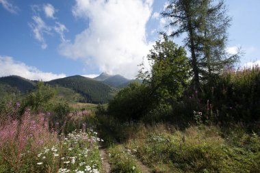 Tatra Milli Parkı Slovakya, Polonya'da yürüyüş. Landscpes ve dağ ile panorama.