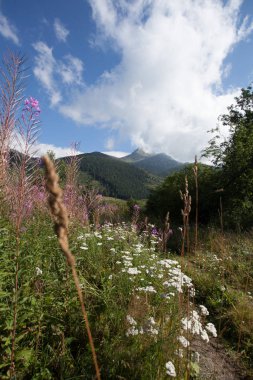 Tatra Milli Parkı Slovakya, Polonya'da yürüyüş. Landscpes ve dağ ile panorama.