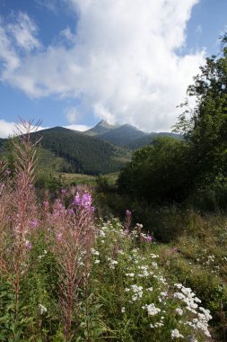 Tatra Milli Parkı Slovakya, Polonya'da yürüyüş. Landscpes ve dağ ile panorama.