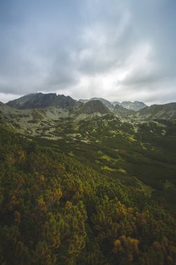 Tatra Milli Parkı Slovakya, Polonya'da yürüyüş. Landscpes ve dağ ile panorama.