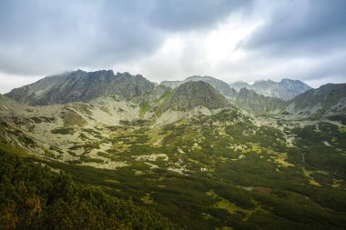 Tatra Milli Parkı Slovakya, Polonya'da yürüyüş. Landscpes ve dağ ile panorama.