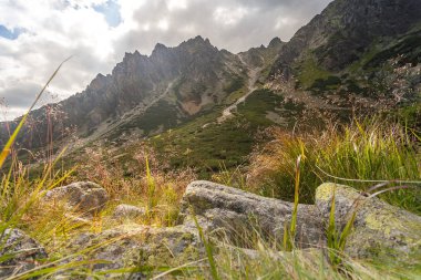 Tatra Milli Parkı Slovakya, Polonya'da yürüyüş. Landscpes ve dağ ile panorama.