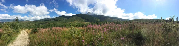 Wandern Tatra Nationalpark Slowakei Polen Landschaften Und Panorama Mit Bergkette — Stockfoto