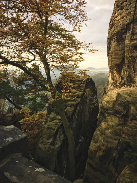 Great morning mood with fog and clouds at the Bastei, a rock formation close to the Elbe River in the german Saxon Switzerland National Park. Hiking and climbing in wonderful mountain ranges of the Elbe Sandstone Mountains.