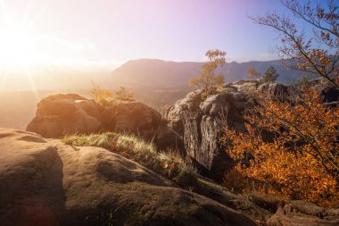 Yumuşak ışık içinde Alman Sakson İsviçre Ulusal Parkı yakın Dresden meditasyon. Doğa yürüyüşü ve tırmanma Elbe Kumtaşı Dağları'nın harika dağ aralıkları.