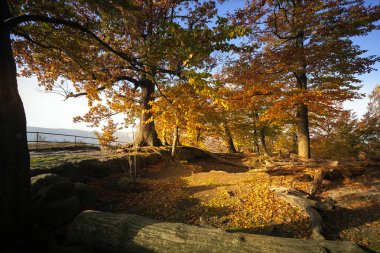 Harika Doğa Sonbahar içinde Alman Sakson İsviçre Ulusal Parkı. Işık ve sis ile dağ. Doğa yürüyüşü ve tırmanma Elbe Kumtaşı Dağları'nın harika dağ aralıkları.