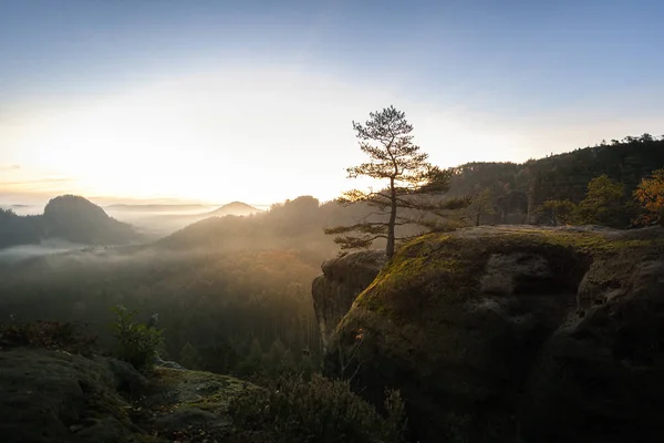 Epic sunrise light at the peak of an mesa in the german Saxon Switzerland National Park. Mountain range with light and fog. Hiking and climbing in wonderful mountain ranges of the Elbe Sandstone Mountains.