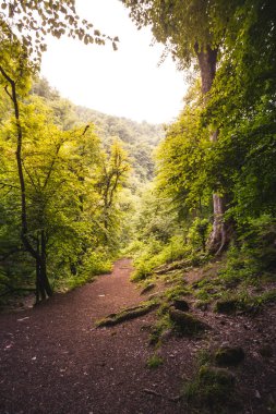 Tropikal orman Masuleh Gilan Eyaleti, İran'ın tarihi şehirde. Büyük dağlar ve manzaralar arasında