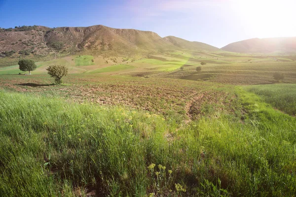 Čočka Účinky Sluneční Světlo Krajina Příroda Kolem Khorramabad County Západní — Stock fotografie