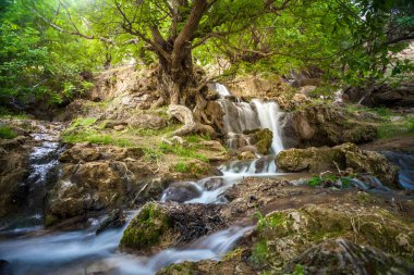 Manzara ve doğa Hürremabad County, Batı Iran çevresinde. İran'ın bir yolculuk sırasında bir durak. Yürüyüş turları dağlar ve şelaleler. Bisheh, Luristan Eyaleti.