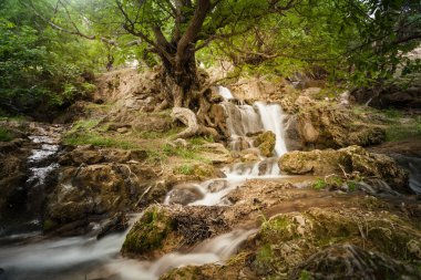 Güzel şelale hareket su akışı ile. Manzara ve doğa Hürremabad County, Batı Iran çevresinde. İran'ın bir yolculuk sırasında bir durak. Yürüyüş turları dağlar ve şelaleler. Bisheh, Luristan Eyaleti.