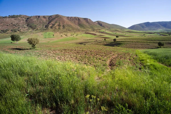 Paesaggio Natura Intorno Alla Contea Khorramabad Iran Occidentale Una Tappa — Foto Stock