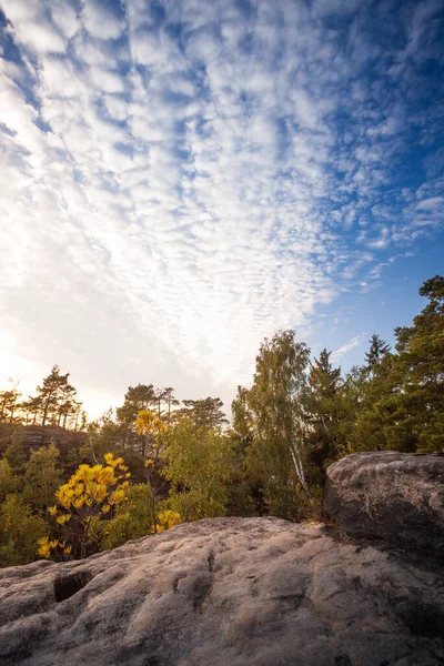 Zonsopgang Bij Bastei Brug Elbe Het Elbe Sandstone Gebergte Duitsland — Stockfoto