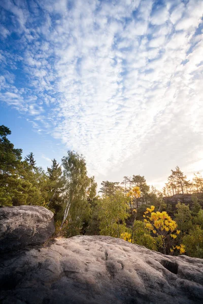 Soluppgång Vid Bastei Bron Ovanför Floden Elbe Elbe Sandstensbergen Tyskland — Stockfoto