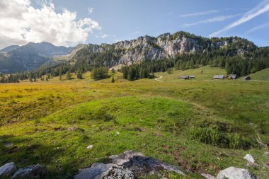 Avusturya 'nın yukarısındaki Spital am Pyhrn' de Wurzelalm etrafında harika bir yaz ve sonbahar havası..