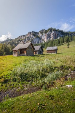 Kulübeler. Avusturya 'nın yukarısındaki Spital am Pyhrn' de Wurzelalm etrafında harika bir yaz ve sonbahar havası..
