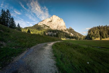 Avusturya 'nın yukarısındaki Spital am Pyhrn' de Wurzelalm etrafında harika bir yaz ve sonbahar havası..
