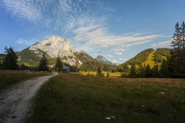 Avusturya 'nın yukarısındaki Spital am Pyhrn' de Wurzelalm etrafında harika bir yaz ve sonbahar havası..