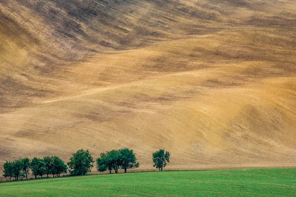 Böljande kullar i South Moravia, Tjeckien — Stockfoto