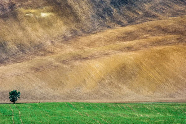 Böljande kullar i South Moravia, Tjeckien — Stockfoto