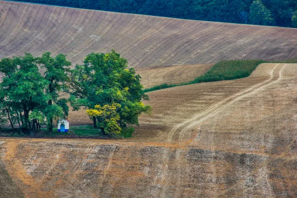 Capela Sf. Barbara în câmpurile de toamnă din Moravia de Sud — Fotografie, imagine de stoc