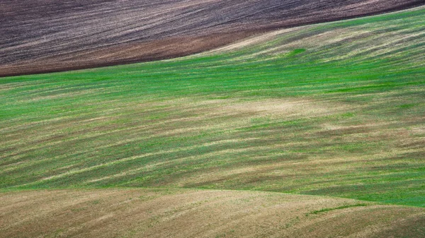 Осенние поля Южной Моравии — стоковое фото