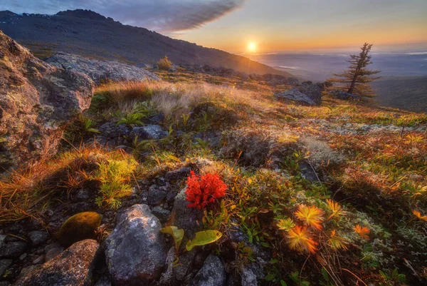 Φθινοπωρινή ανατολή στα βουνά. Πολύχρωμο πλάνο με όμορφο προσκήνιο της φύσης nortern — Φωτογραφία Αρχείου