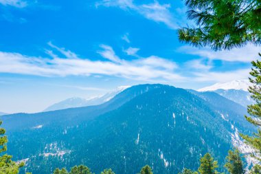 Güzel ağaç ve kar kaplı dağlar manzara Kashmir stat