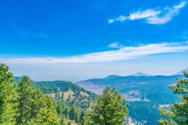 Güzel ağaç ve kar kaplı dağlar manzara Kashmir stat