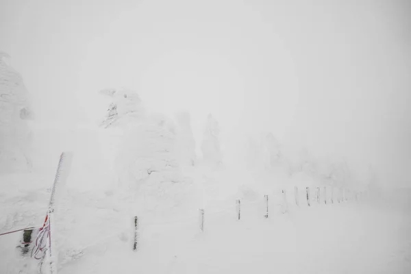 Área de Monstros da Neve Montanha Zao, Japão  . — Fotografia de Stock