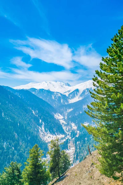 Beautiful tree and snow covered mountains landscape Kashmir stat — Stock Photo, Image