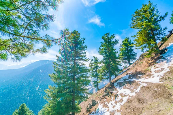 Güzel ağaç ve kar kaplı dağlar manzara Kashmir stat