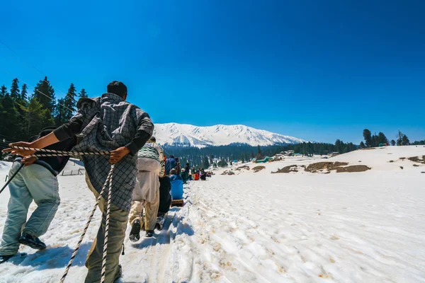 Conductor de trineo llevar al turista en trineo de nieve hasta la colina, Kashmi — Foto de Stock