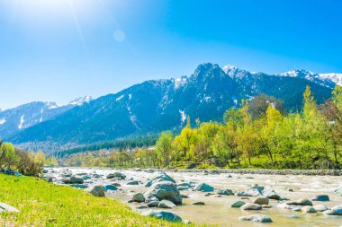Güzel nehir ve kar kaplı dağlar manzara Kashmir st
