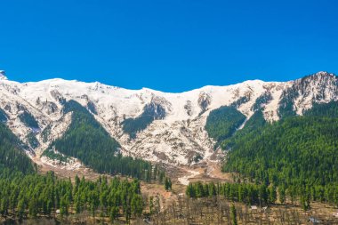 Güzel kar kaplı dağlar manzara Kashmir devlet, Hindistan
