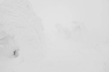 Kar canavarlar alan dağ Zao, Japonya .