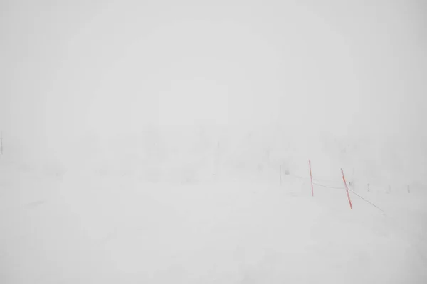 Zona de monstruos de nieve Mountain Zao, Japón  . — Foto de Stock