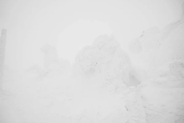 雪のモンスター エリア山蔵王、日本 . — ストック写真