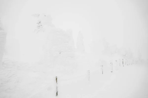 Snow Monsters area Mountain Zao, Japan .