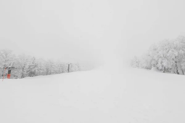 Árbol cubierto de nieve en invierno día de tormenta en las montañas del bosque —  Fotos de Stock