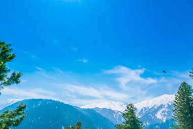 Güzel ağaç ve kar kaplı dağlar manzara Kashmir stat