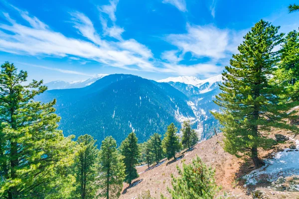 Güzel ağaç ve kar kaplı dağlar manzara Kashmir stat