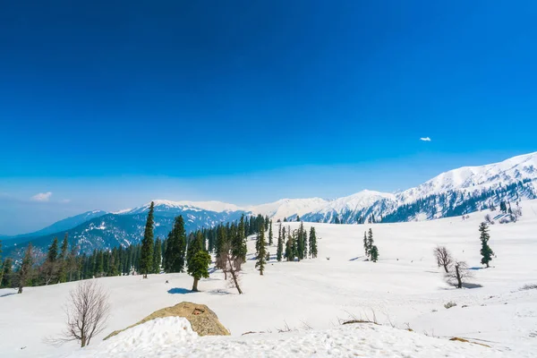 美しい雪覆われた山の風景カシミール州、インド — ストック写真