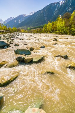 Güzel nehir ve kar kaplı dağlar manzara Kashmir st