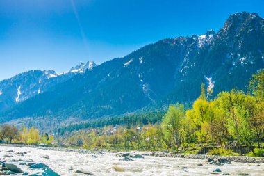 Güzel nehir ve kar kaplı dağlar manzara Kashmir st